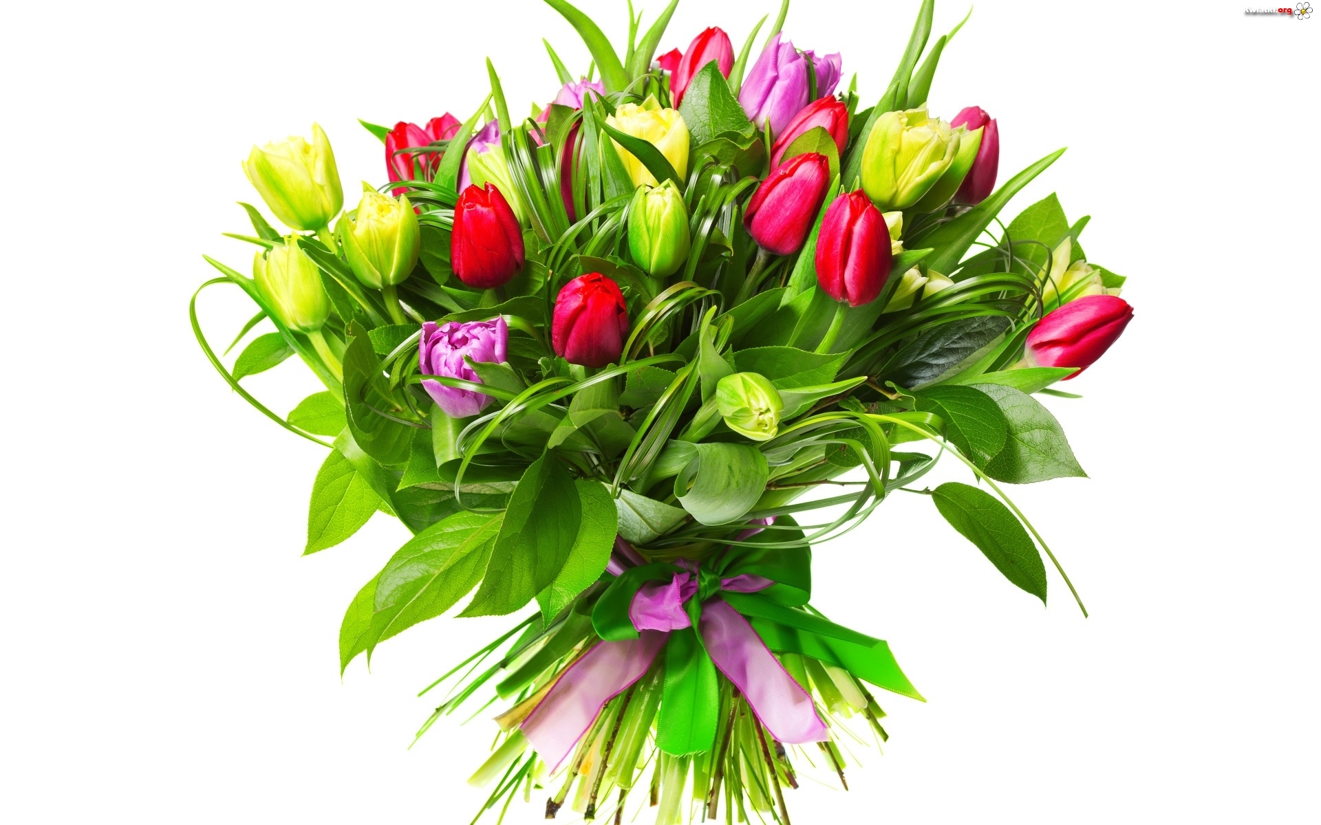 bukiet kwiaty tulipany 1